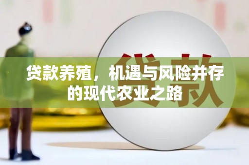 高平贷款养殖，机遇与风险并存的现代农业之路