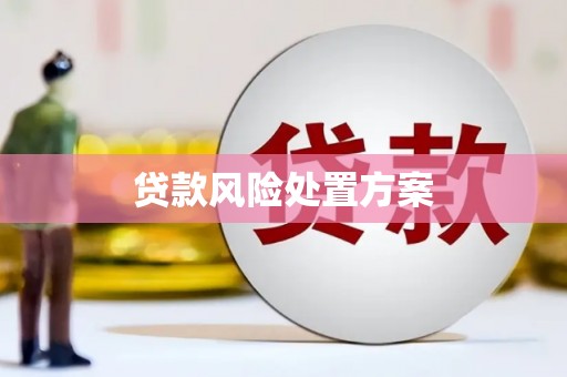 高平贷款风险处置方案