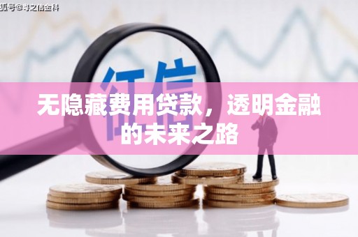 高平无隐藏费用贷款，透明金融的未来之路
