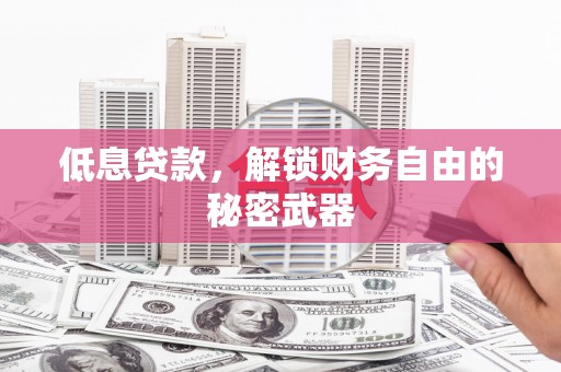 高平低息贷款，解锁财务自由的秘密武器