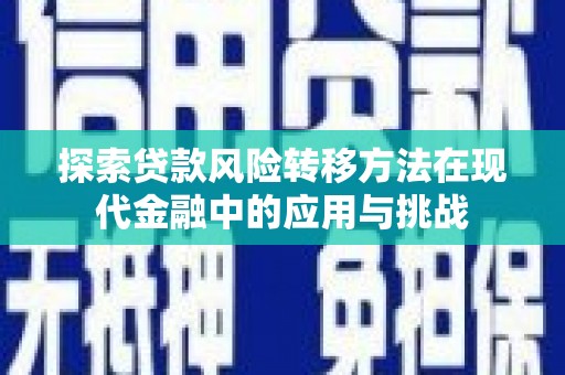 高平探索贷款风险转移方法在现代金融中的应用与挑战
