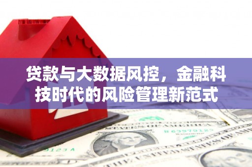 高平贷款与大数据风控，金融科技时代的风险管理新范式