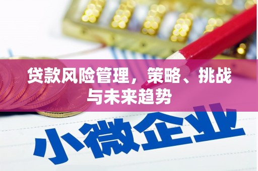 高平贷款风险管理，策略、挑战与未来趋势