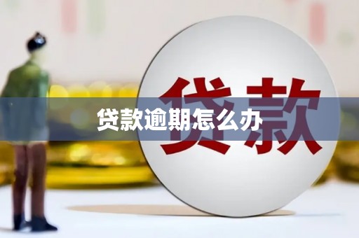 高平贷款逾期怎么办