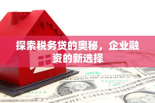 高平探索税务贷的奥秘，企业融资的新选择