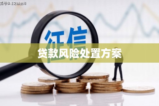 高平贷款风险处置方案