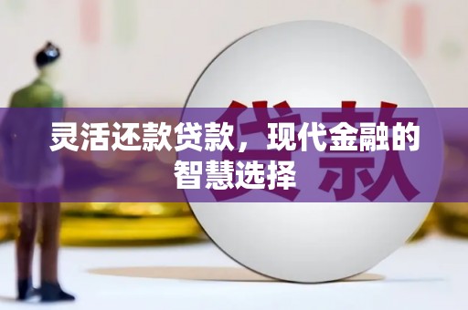 高平灵活还款贷款，现代金融的智慧选择