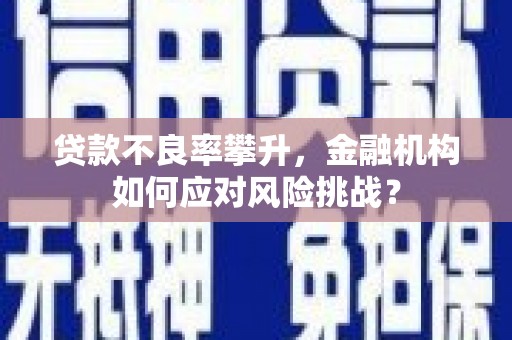 高平贷款不良率攀升，金融机构如何应对风险挑战？