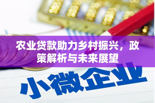高平农业贷款助力乡村振兴，政策解析与未来展望