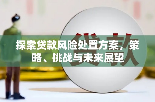 高平探索贷款风险处置方案，策略、挑战与未来展望