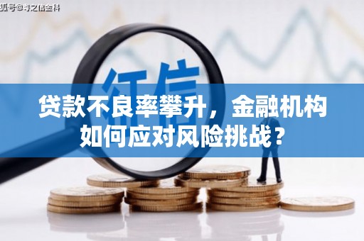 高平贷款不良率攀升，金融机构如何应对风险挑战？