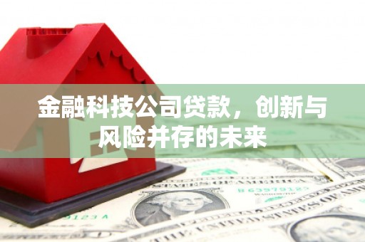 高平金融科技公司贷款，创新与风险并存的未来
