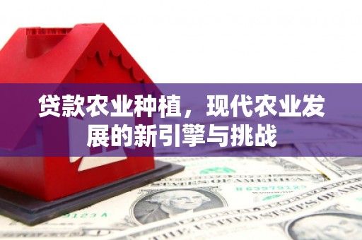 高平贷款农业种植，现代农业发展的新引擎与挑战