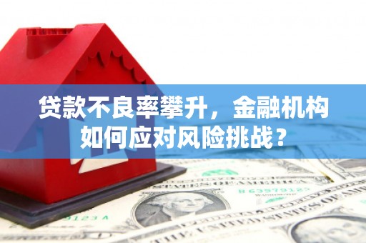 高平贷款不良率攀升，金融机构如何应对风险挑战？