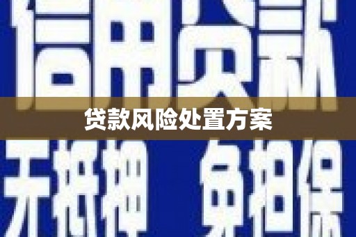 高平贷款风险处置方案
