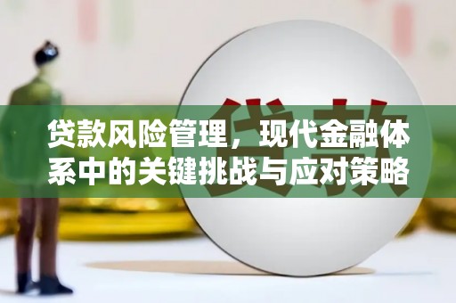 高平贷款风险管理，现代金融体系中的关键挑战与应对策略