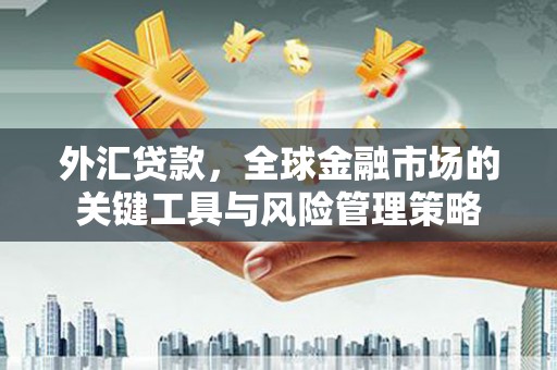 高平外汇贷款，全球金融市场的关键工具与风险管理策略