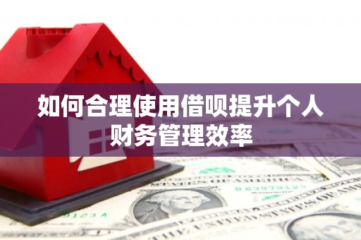 高平如何合理使用借呗提升个人财务管理效率