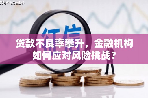 高平贷款不良率攀升，金融机构如何应对风险挑战？