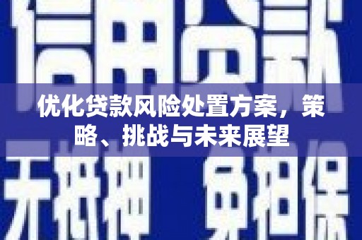 高平优化贷款风险处置方案，策略、挑战与未来展望