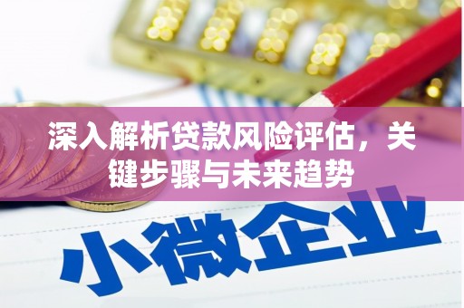 高平深入解析贷款风险评估，关键步骤与未来趋势