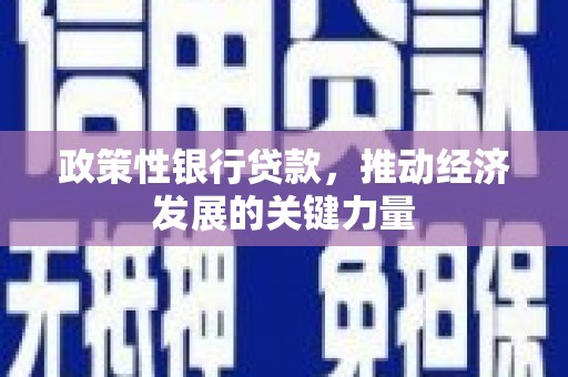 高平政策性银行贷款，推动经济发展的关键力量