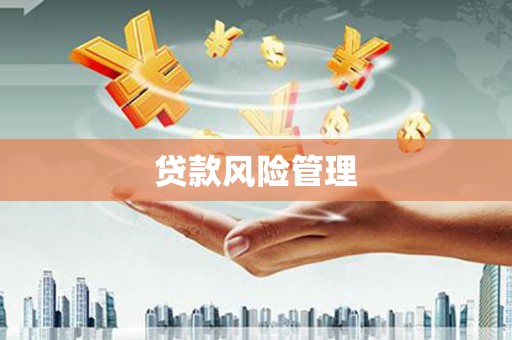高平贷款风险管理