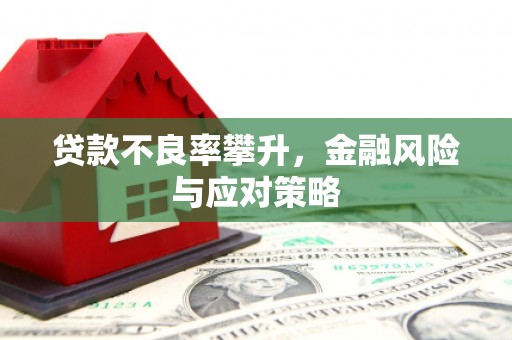 高平贷款不良率攀升，金融风险与应对策略