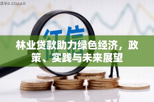 高平林业贷款助力绿色经济，政策、实践与未来展望