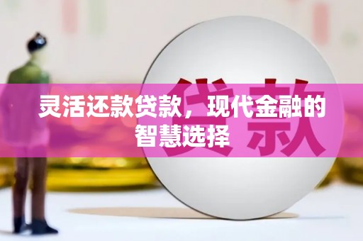 高平灵活还款贷款，现代金融的智慧选择