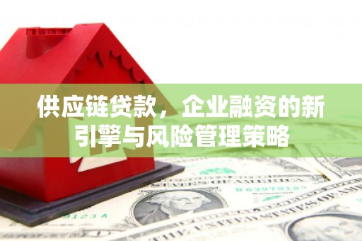 高平供应链贷款，企业融资的新引擎与风险管理策略