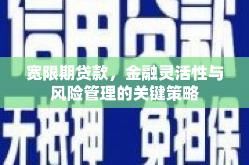 高平宽限期贷款，金融灵活性与风险管理的关键策略