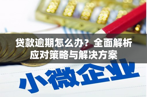 高平贷款逾期怎么办？全面解析应对策略与解决方案