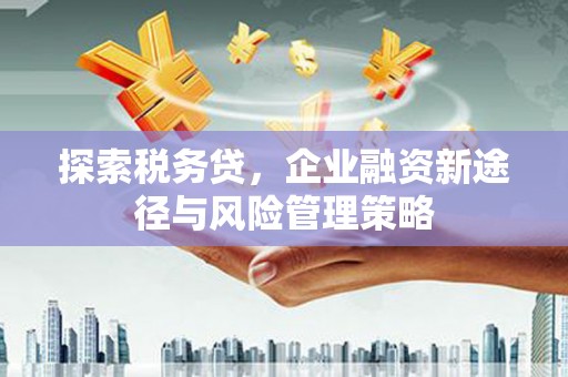 高平探索税务贷，企业融资新途径与风险管理策略