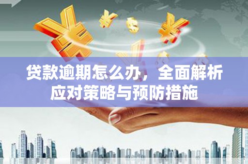 高平贷款逾期怎么办，全面解析应对策略与预防措施
