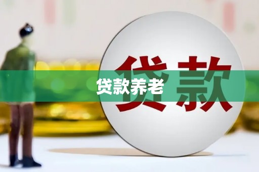 高平贷款养老