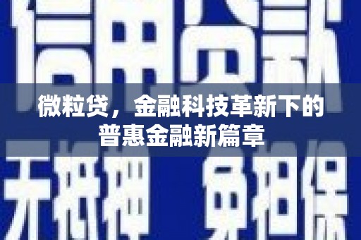 高平微粒贷，金融科技革新下的普惠金融新篇章