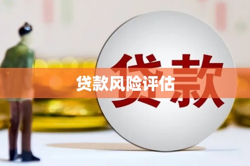高平贷款风险评估