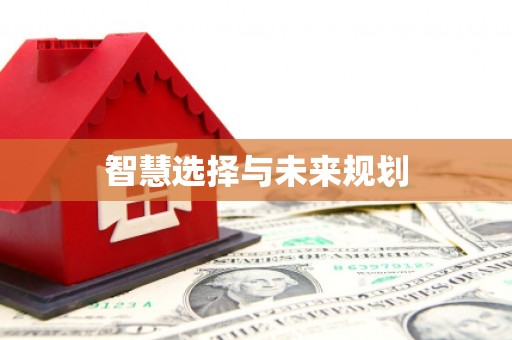 高平智慧选择与未来规划
