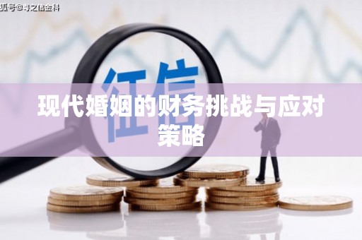 高平现代婚姻的财务挑战与应对策略