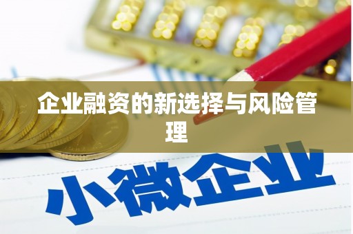 高平企业融资的新选择与风险管理